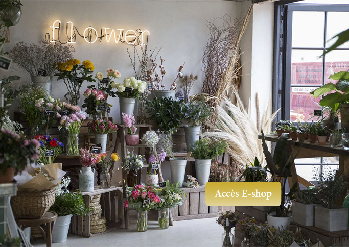 about-store1 about-store1